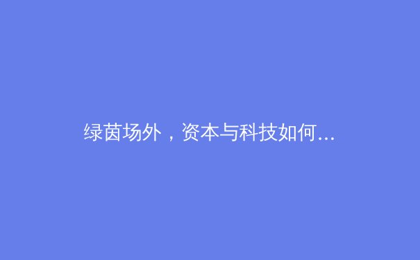 绿茵场外，资本与科技如何重塑现代体育产业格局 - 4